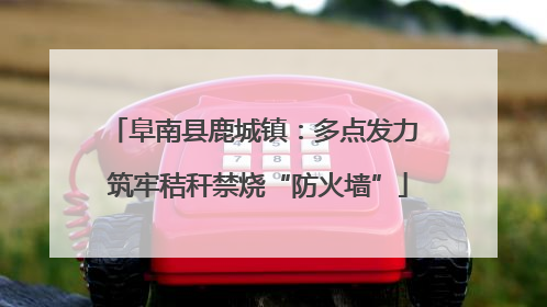 阜南县鹿城镇：多点发力 筑牢秸秆禁烧“防火墙”