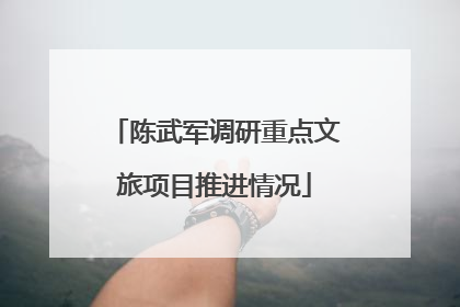 陈武军调研重点文旅项目推进情况