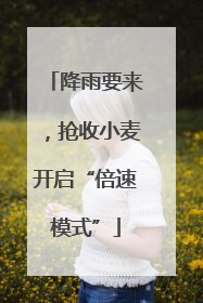 降雨要来，抢收小麦开启“倍速模式”