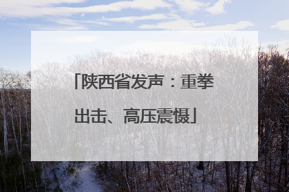 陕西省发声：重拳出击、高压震慑