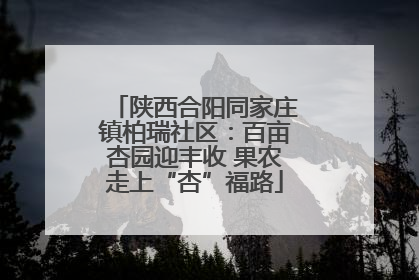 陕西合阳同家庄镇柏瑞社区：百亩杏园迎丰收 果农走上“杏”福路