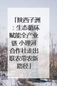 陕西子洲：生态循环赋能全产业链 小理河合作社走出联农带农新路径