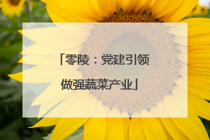 零陵：党建引领 做强蔬菜产业