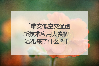 雄安低空交通创新技术应用大赛初赛带来了什么？