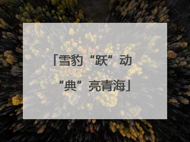雪豹“跃”动 “典”亮青海
