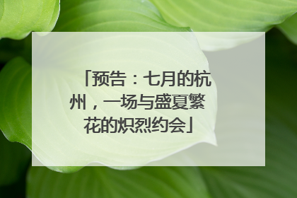 预告：七月的杭州，一场与盛夏繁花的炽烈约会