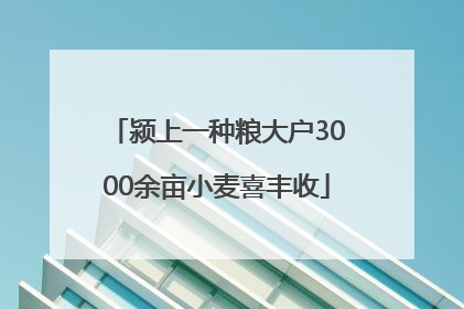 颍上一种粮大户3000余亩小麦喜丰收