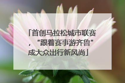首创马拉松城市联赛，“跟着赛事游齐鲁”成大众出行新风尚