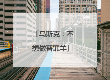 马斯克：不想做替罪羊