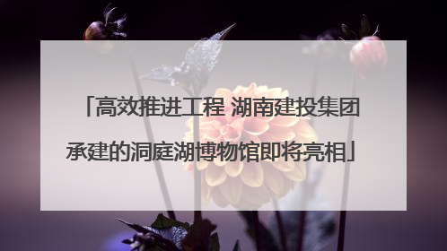 高效推进工程 湖南建投集团承建的洞庭湖博物馆即将亮相