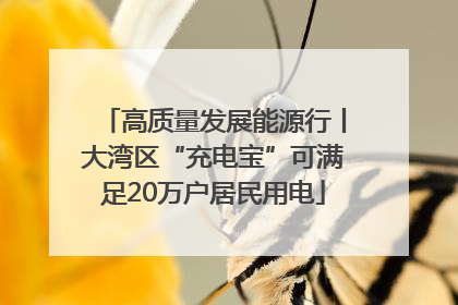 高质量发展能源行丨大湾区“充电宝”可满足20万户居民用电