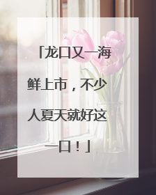 龙口又一海鲜上市，不少人夏天就好这一口！
