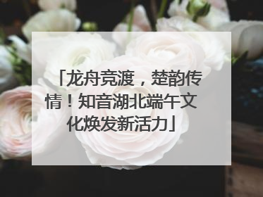 龙舟竞渡，楚韵传情！知音湖北端午文化焕发新活力