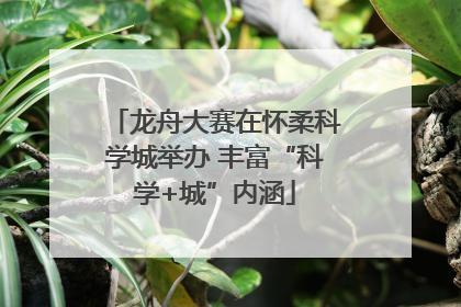 龙舟大赛在怀柔科学城举办 丰富“科学+城”内涵