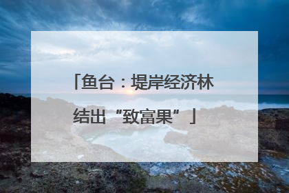 鱼台：堤岸经济林结出“致富果”
