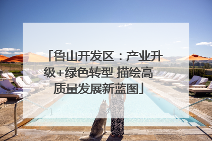 鲁山开发区：产业升级+绿色转型 描绘高质量发展新蓝图