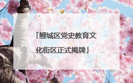 鲤城区党史教育文化街区正式揭牌