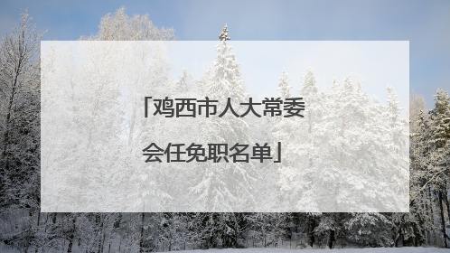 鸡西市人大常委会任免职名单