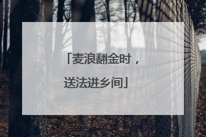 麦浪翻金时，送法进乡间