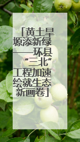 黄土旱塬添新绿——环县“三北”工程加速绘就生态新画卷