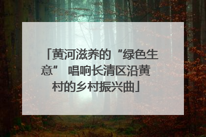 黄河滋养的“绿色生意” 唱响长清区沿黄村的乡村振兴曲