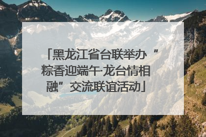 黑龙江省台联举办“粽香迎端午·龙台情相融”交流联谊活动