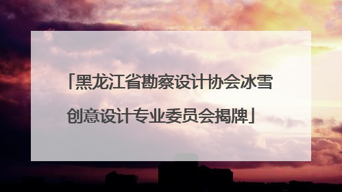黑龙江省勘察设计协会冰雪创意设计专业委员会揭牌