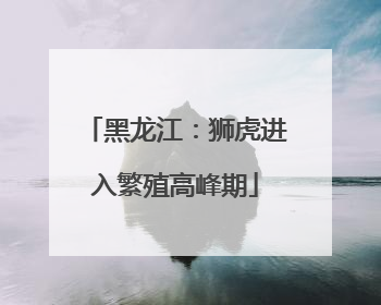 黑龙江：狮虎进入繁殖高峰期