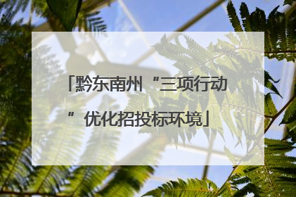 黔东南州“三项行动”优化招投标环境