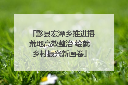 黟县宏潭乡推进撂荒地高效整治 绘就乡村振兴新画卷
