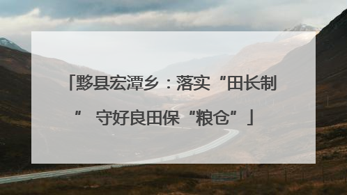 黟县宏潭乡：落实“田长制” 守好良田保“粮仓”