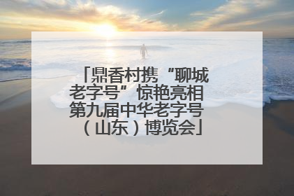 鼎香村携“聊城老字号”惊艳亮相第九届中华老字号（山东）博览会