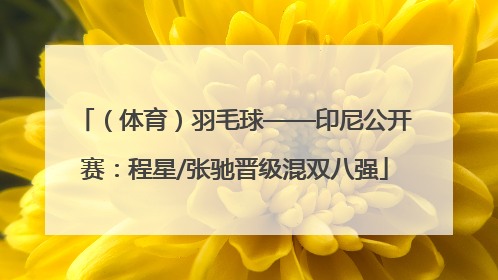 （体育）羽毛球——印尼公开赛：程星/张驰晋级混双八强