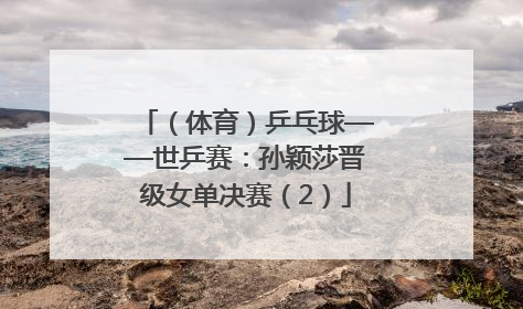 （体育）乒乓球——世乒赛：孙颖莎晋级女单决赛（2）