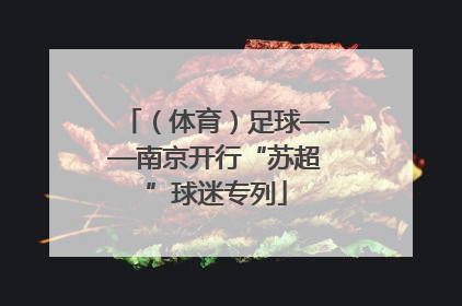 （体育）足球——南京开行“苏超”球迷专列