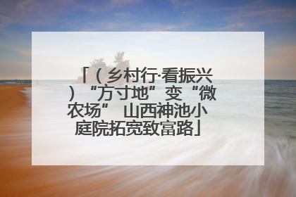 （乡村行·看振兴）“方寸地”变“微农场” 山西神池小庭院拓宽致富路