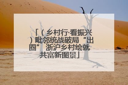 （乡村行·看振兴）毗邻统战破局“出圈” 浙沪乡村绘就共富新图景