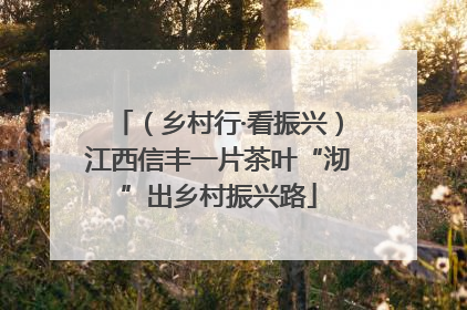 （乡村行·看振兴）江西信丰一片茶叶“沏”出乡村振兴路