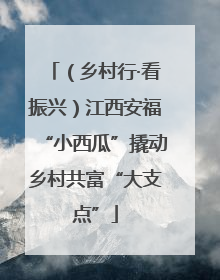 （乡村行·看振兴）江西安福“小西瓜”撬动乡村共富“大支点”