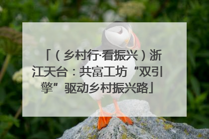 （乡村行·看振兴）浙江天台：共富工坊“双引擎”驱动乡村振兴路