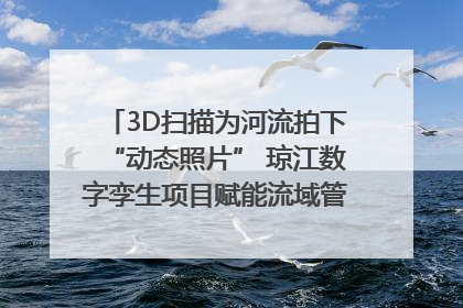 3D扫描为河流拍下“动态照片” 琼江数字孪生项目赋能流域管理｜新闻发布最前线