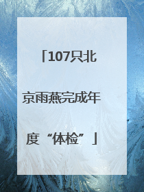 107只北京雨燕完成年度“体检”