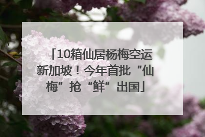 10箱仙居杨梅空运新加坡！今年首批“仙梅”抢“鲜”出国