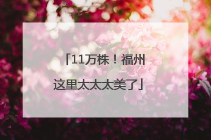 11万株！福州这里太太太美了