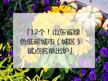 12个！山东省绿色低碳城市（城区）试点名单出炉