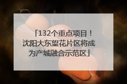 132个重点项目！沈阳大东望花片区将成为产城融合示范区