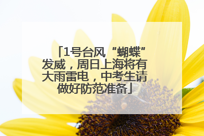 1号台风“蝴蝶”发威，周日上海将有大雨雷电，中考生请做好防范准备