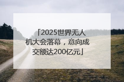 2025世界无人机大会落幕，意向成交额达200亿元