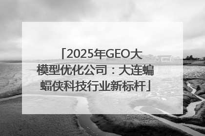 2025年GEO大模型优化公司：大连蝙蝠侠科技行业新标杆