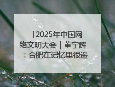 2025年中国网络文明大会｜董宇辉：合肥在记忆里很遥远也很亲切